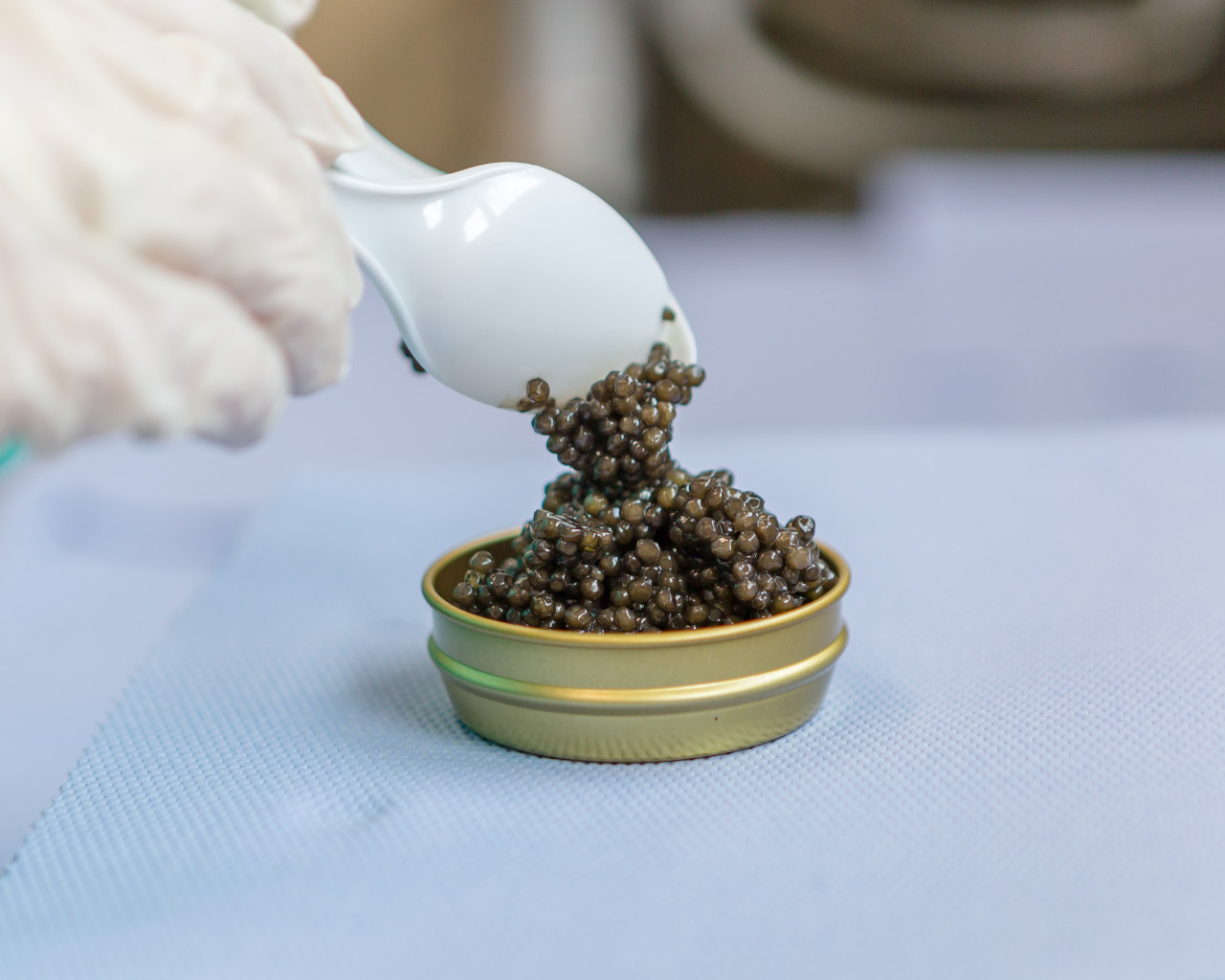 Adamas caviar - Allevamento storioni caviale